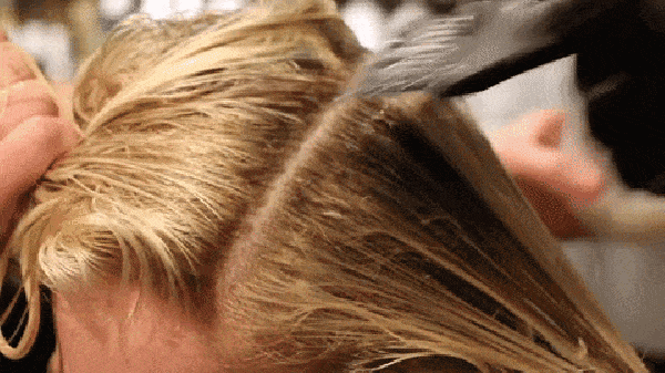 Shadow root application with Justin Anderson