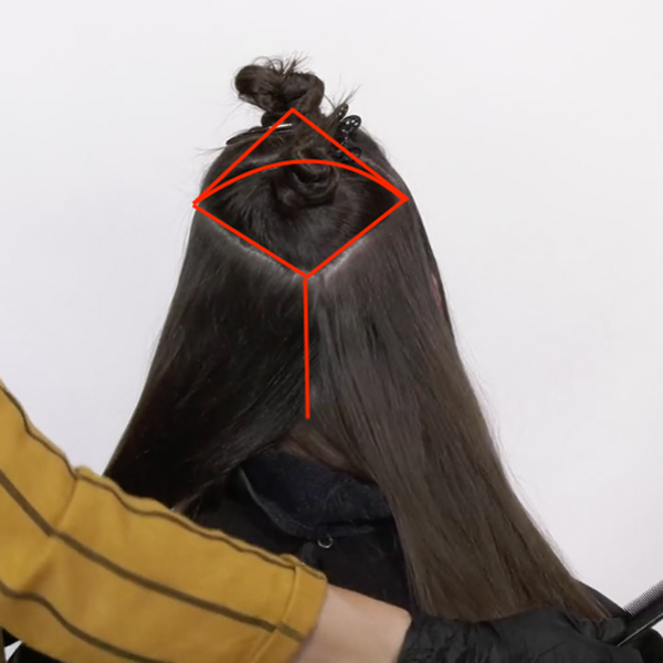 Joico Larisa Love Video How-To Diamond Balayage Technique Section Diagram