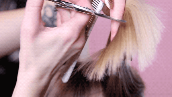 ARC Scissors Megan Schipani @shmeggsandbaconn Bulk Removing Tips Bobs Lobs Remove Weight Cutting Techniques Point Cutting Slide Cutting Slice Cutting Internal Layering Hidden Layers