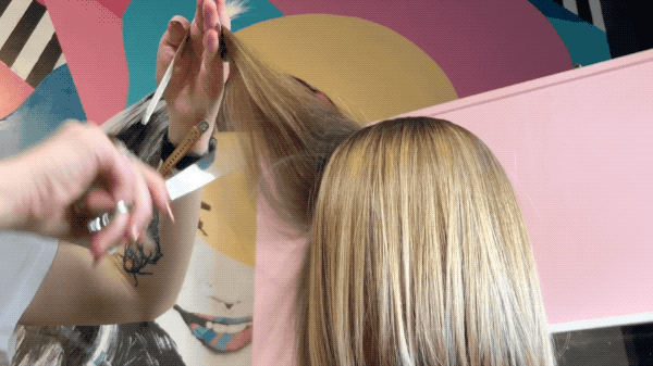 ARC Scissors Megan Schipani @shmeggsandbaconn Bulk Removing Tips Bobs Lobs Remove Weight Cutting Techniques Point Cutting Slide Cutting Slice Cutting Internal Layering Hidden Layers