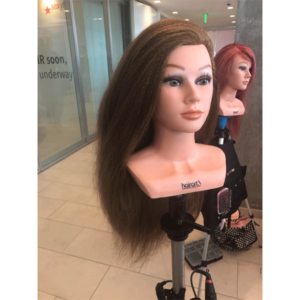 model, education, sexy hair