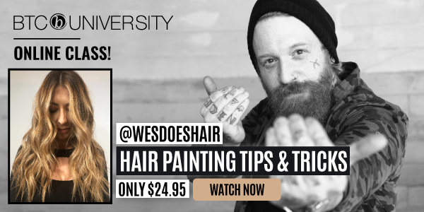Wes-Palmer-Hairpainting-Livestream-Banner-New-Price-Small
