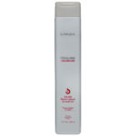 Healing ColorCare Silver Brightening Shampoo