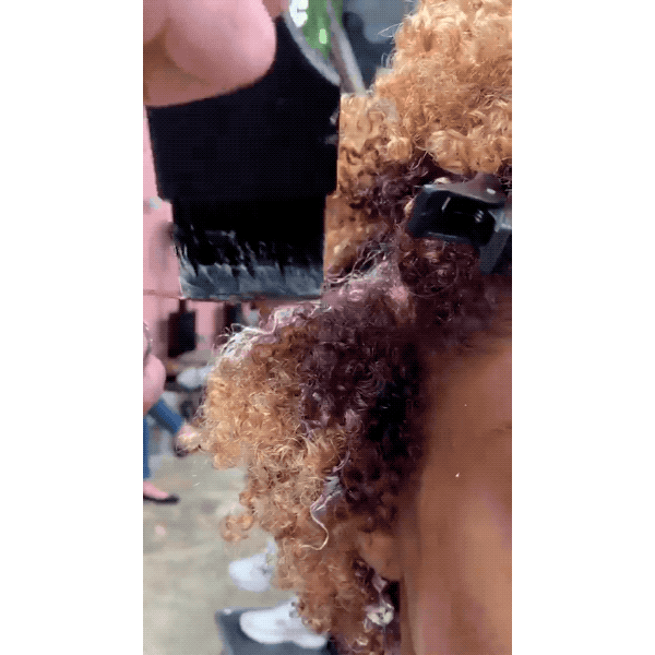 Evan Joseph @evanjosephcurls 3 Genius Tips For Coloring Curly Hair Where To Place Highlights Open Air Processing Toning With Permanent Haircolor Schwarzkopf Professional tbh true beautiful honest