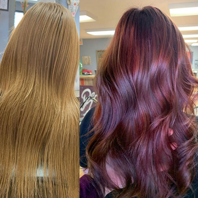 PRAVANA How To Formulate and Apply Toner For Brunette Hair Color Express Tones After Dark