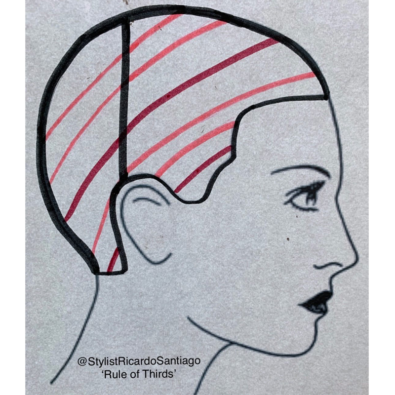 Gray Coverage Tips Techniques Ricardo Santiago Joico Formulas Head Diagram
