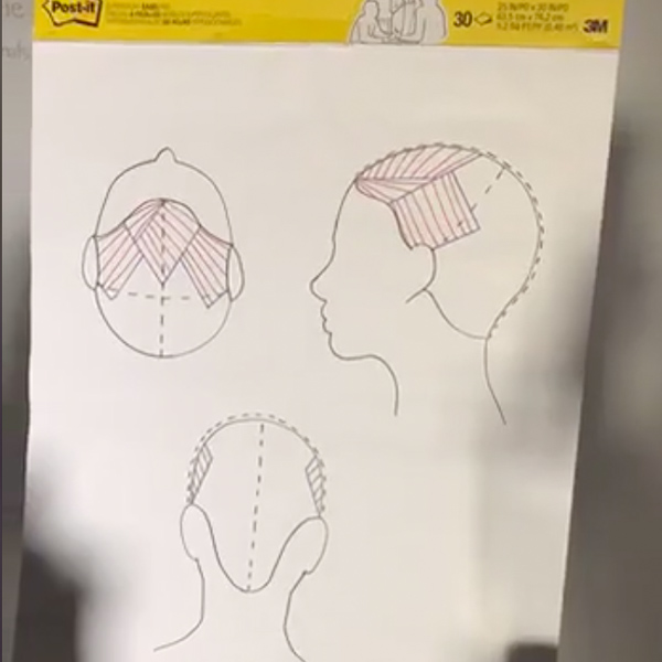 TIGI @renee.valerie How To Transition Full Foils and Balayage Into Low Maintenance Face Framing Blends Head Diagrams