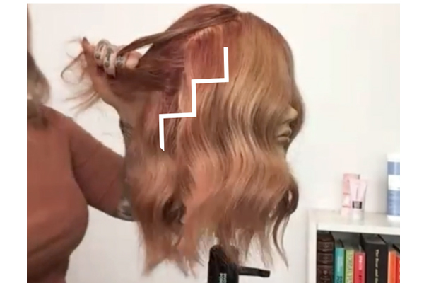 btcshow suzanne