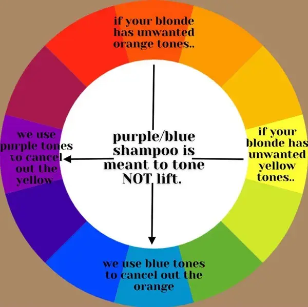 Skp-Toning-Color-Wheel-Emilymariestephens