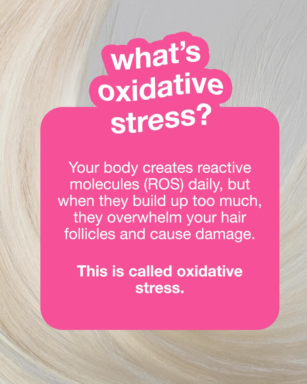 Graphic with a close-up blonde hair background. White text in a pink box explains that the body naturally creates reactive oxygen species (ROS), but when they build up, they overwhelm hair follicles and cause damage. This process is called oxidative stress.