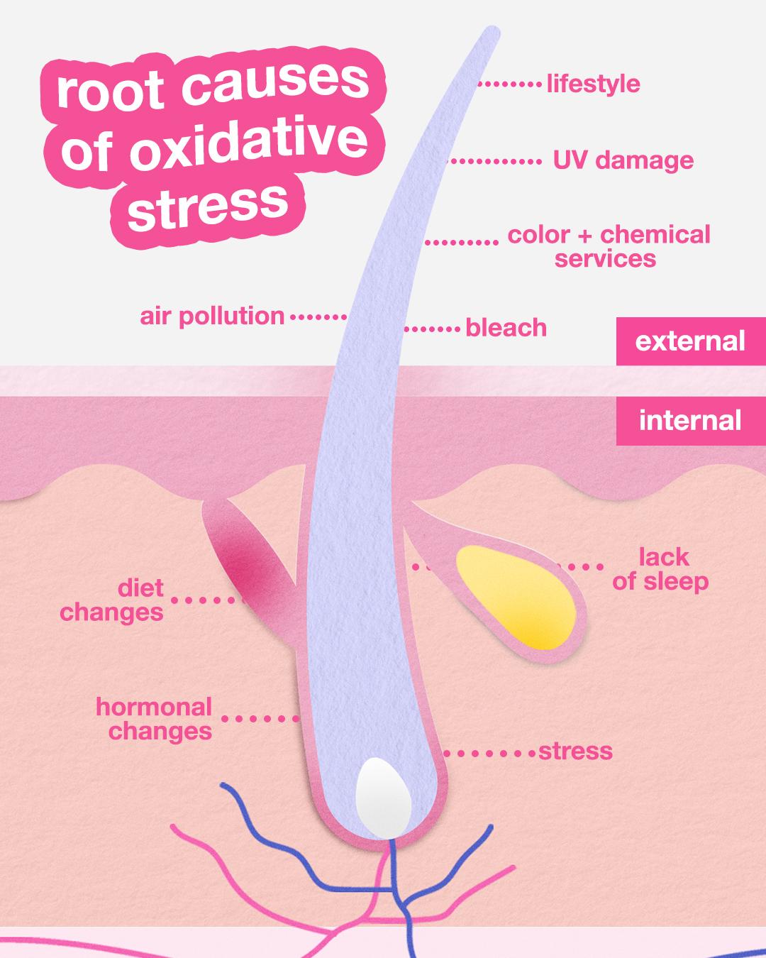 Illustration of a hair follicle labeled with internal and external causes of oxidative stress. External factors include lifestyle, UV damage, color and chemical services, bleach and air pollution. Internal factors include stress, lack of sleep, hormonal changes and diet changes.