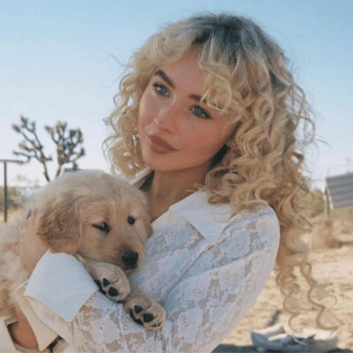 Sabrina Carpenter with soft curls and buttery blonde hair holding a golden retriever puppy in the “Manchild” music video.