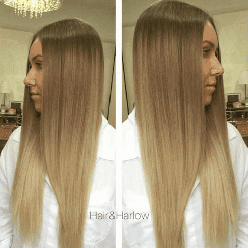 Seamless Transition Using Olaplex by Mikayla Zutovich