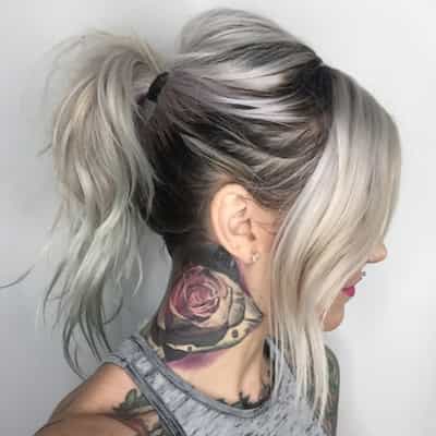 Silver Shadow Pony