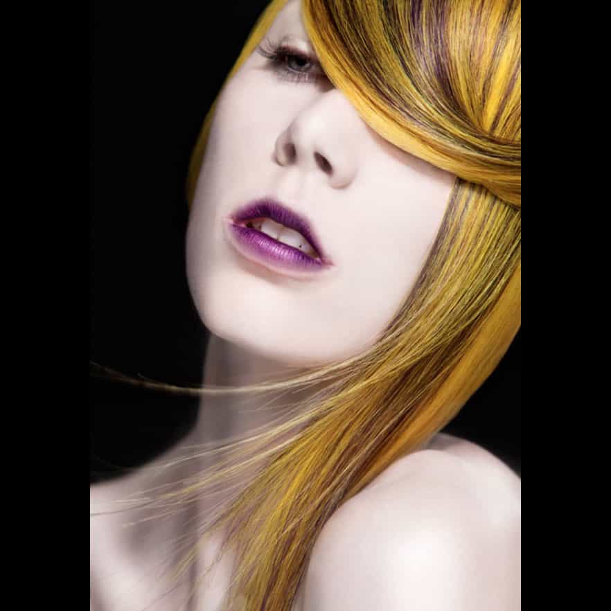 3303003_orig