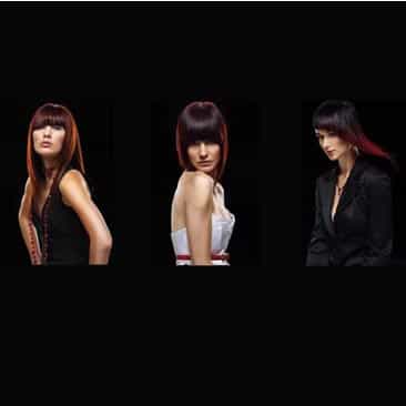 3091663jpms copyx_orig