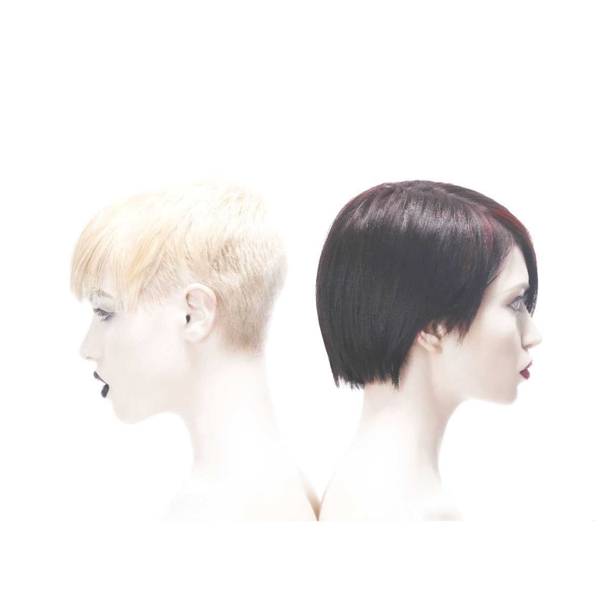 3309464_orig