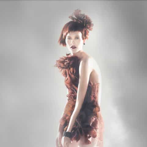332085Albor_orig