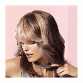 301741Color_Collection_1_orig