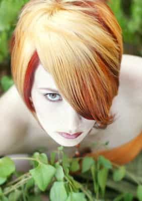 304962ExpressionistGarden-2_orig