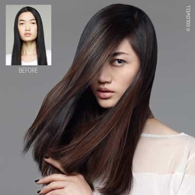 352378Goldwell_Perfect Beauty_Post8400_orig