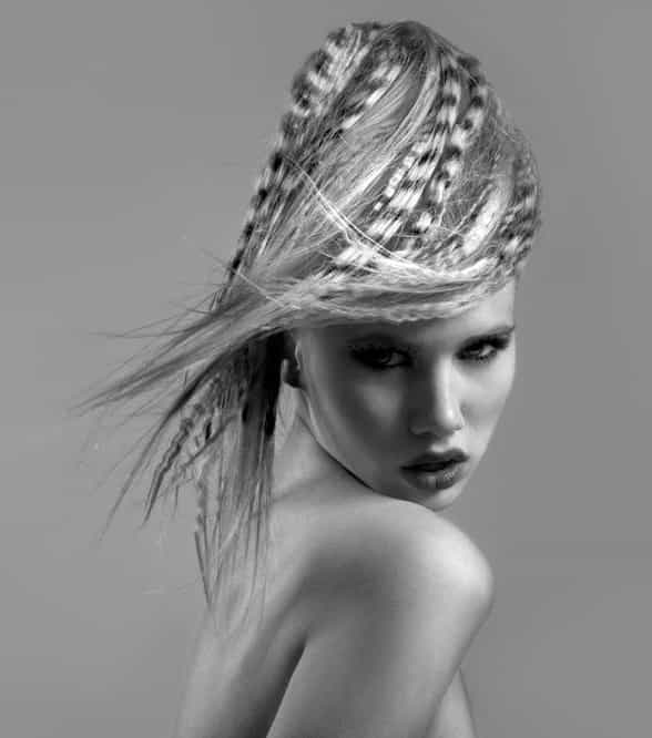 331335Milica2_orig