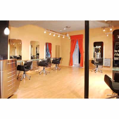 312191Salon overview_orig