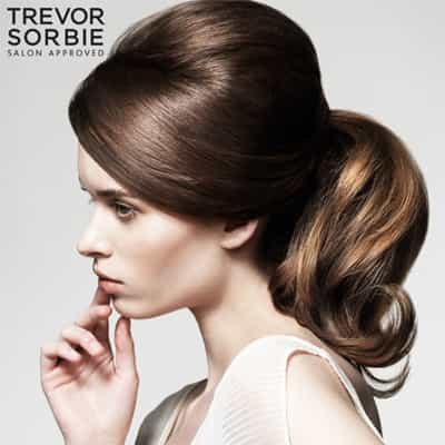339597Trevor Sorbie Brunette Pony Square_orig