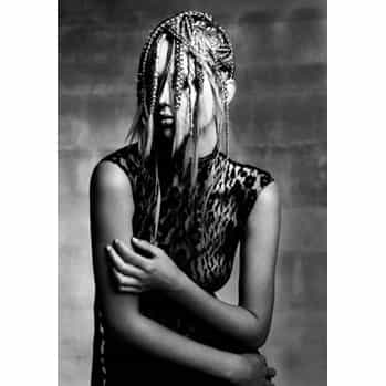 329762Veil1_orig