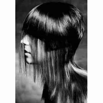 329767Veil6_orig