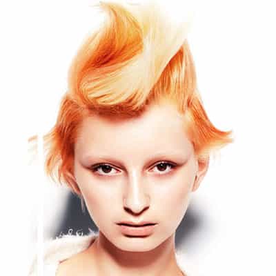 338248angel_orig