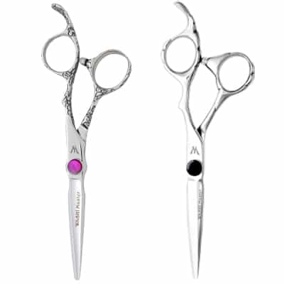 Master Shears From WASHI