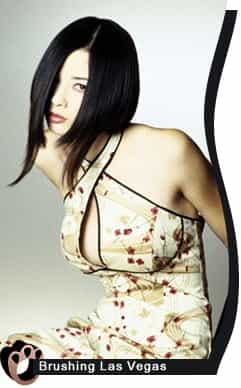 300682brush_orig