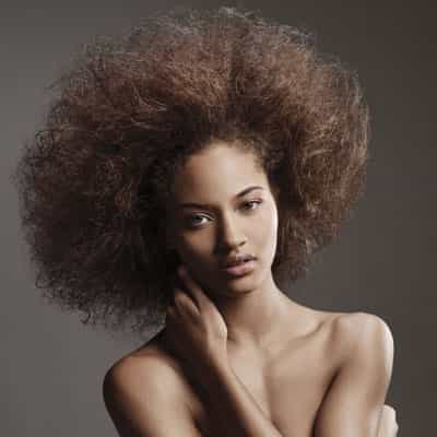 329682collection8_orig