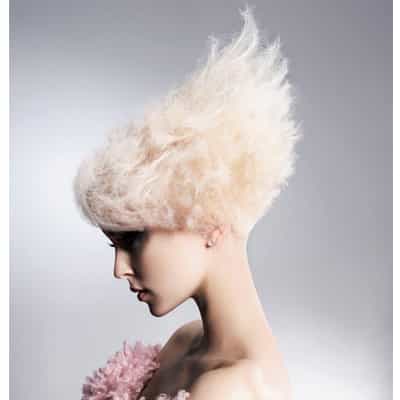 341420hair5_orig