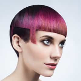 337408purple_orig