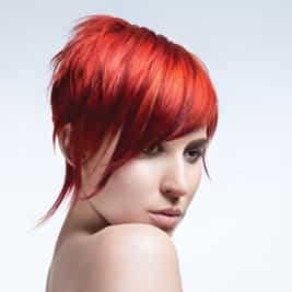 337409red_orig