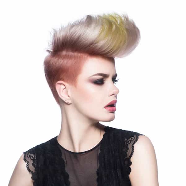<p>Strong, sharp and powerful is the definition of this beautiful look. The short cut features interesting disconnections while the inspirational color combination fades from warm to cool tones. Together, the cut and color work harmoniously.</p>
