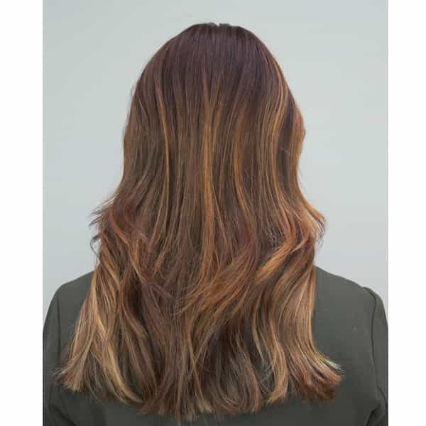 loreal_pro_tiger_eye_balayage