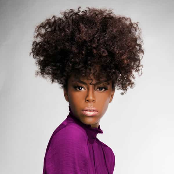 updos biosilk collection photos