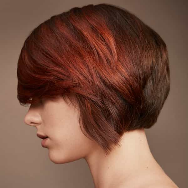 redken brunette with tones of copper short hair color blocking technique
