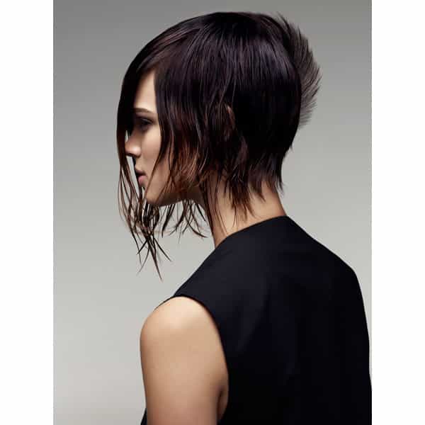 trevor-sorbie-artistic-team-eclection-collection-4