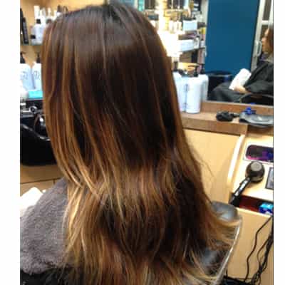Before Hair Painting; Dimensional Chestnut