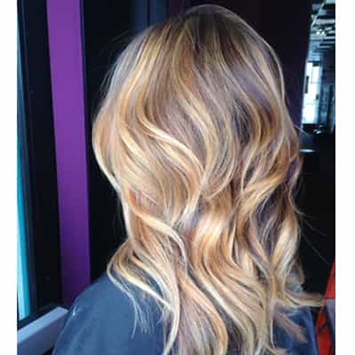 Hair Painting ; Dimensional Chestnut