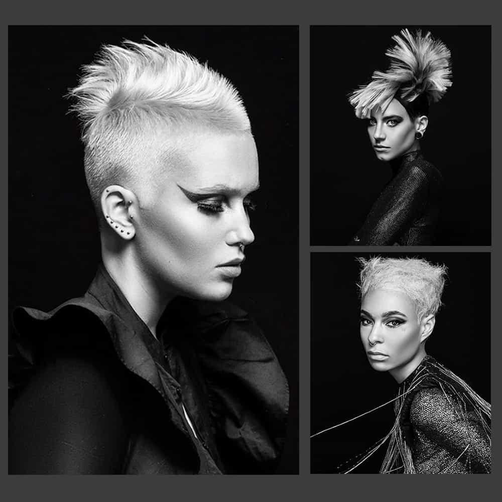 collection-featured-new