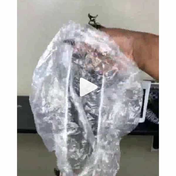<p>Instagram via: <a href="https://www.instagram.com/cynthialumzy/">@cynthialumzy</a></p><p>Watch the video <a href="https://www.instagram.com/p/BhsLscZj-Or/?utm_source=ig_share_sheet&igshid=1jyudes9z5hjj">here!</a></p>