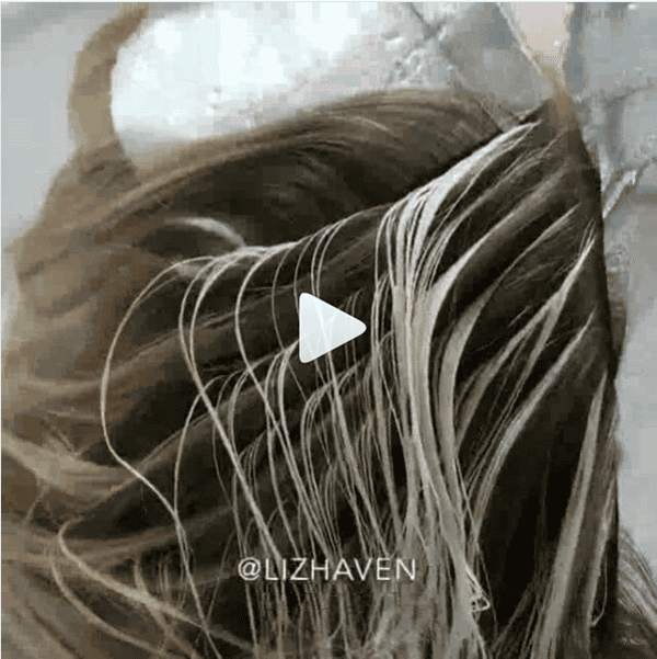 <p>Instagram via: <a href="https://www.instagram.com/lizhaven/">@lizhaven</a></p><p>Watch the video <a href="https://www.instagram.com/p/BdfbDUcj3LL/?utm_source=ig_share_sheet&igshid=nh7h6we4nwaw">here!</a></p>