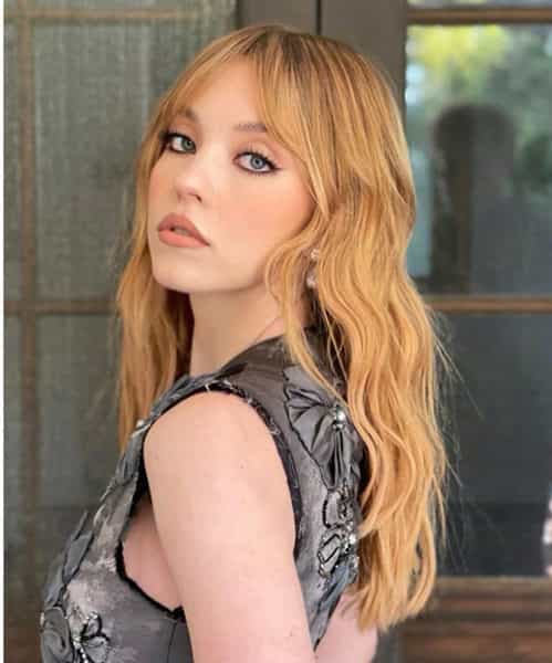 euphoria sydney sweeney new red color formulas strawberry blonde 901 nikki lee how to