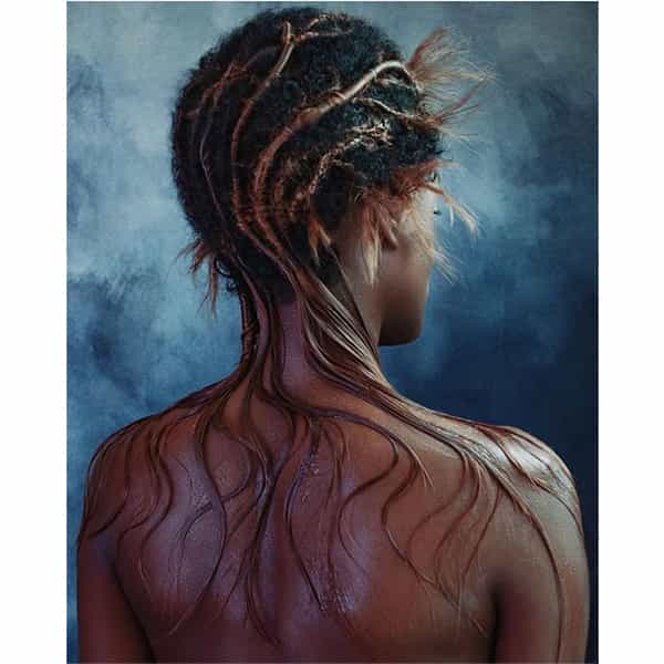 Transition by Danilo Giangreco