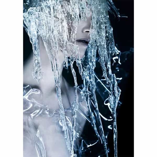 Frozen Collection Monique van Baal